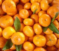 亚克力双层贴片米奇无别针DIY手机壳材料 创意与实用并存的DIY时尚潮流