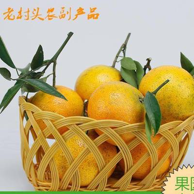 四川爱媛38号柑橘 产地直销的甜润佳果