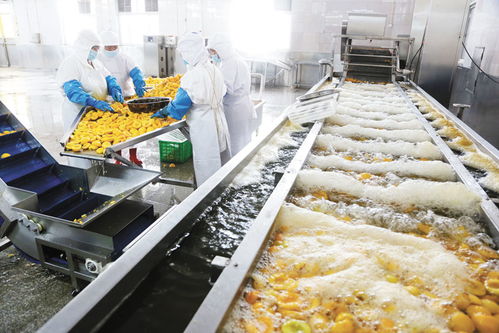 连云港出台23条措施护航外贸稳增长，汽车配件产业迎来新机遇