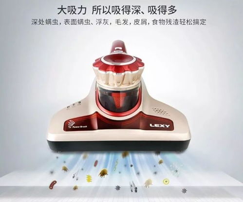 精品家电与汽车配件 品质生活的双重驱动