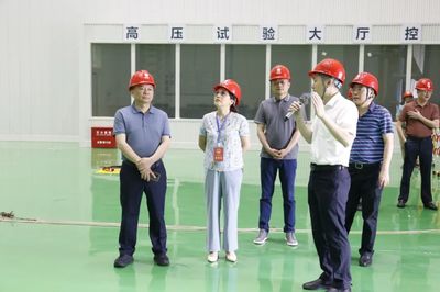 走项目、进工地、察实情——区人大常委会视察全区重点项目建设工作，关注智能家电产业新动能